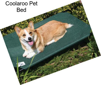 Coolaroo Pet Bed