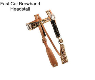 Fast Cat Browband Headstall