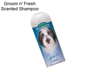 Groom n\' Fresh Scented Shampoo