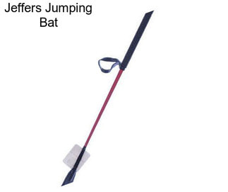 Jeffers Jumping Bat