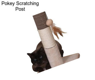 Pokey Scratching Post