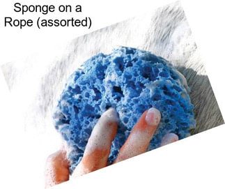 Sponge on a Rope (assorted)