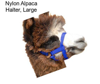 Nylon Alpaca Halter, Large