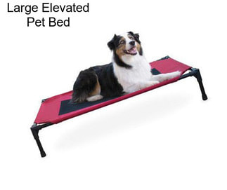 Large Elevated Pet Bed