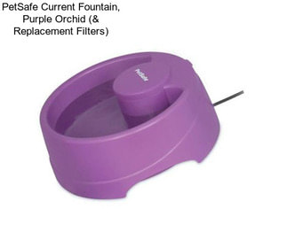 PetSafe Current Fountain, Purple Orchid (& Replacement Filters)
