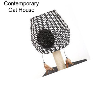 Contemporary Cat House