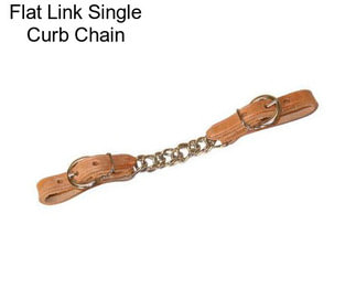 Flat Link Single Curb Chain