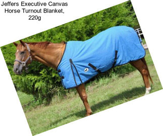 Jeffers Executive Canvas Horse Turnout Blanket, 220g