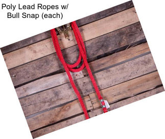 Poly Lead Ropes w/ Bull Snap (each)