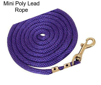 Mini Poly Lead Rope