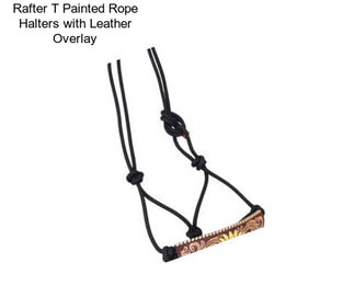 Rafter T Painted Rope Halters with Leather Overlay