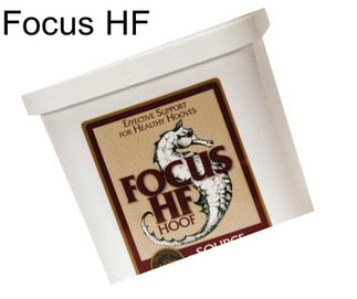 Focus HF