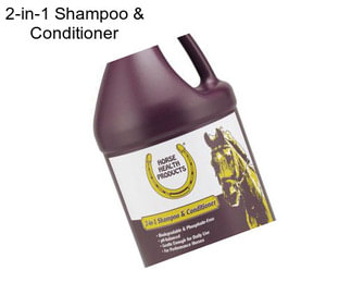 2-in-1 Shampoo & Conditioner