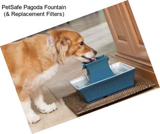 PetSafe Pagoda Fountain (& Replacement Filters)