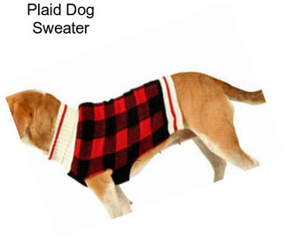 Plaid Dog Sweater