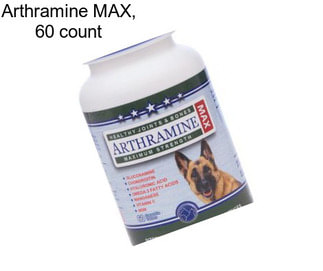 Arthramine MAX, 60 count