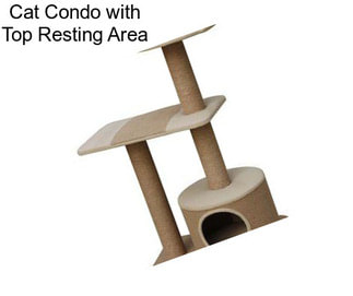 Cat Condo with Top Resting Area