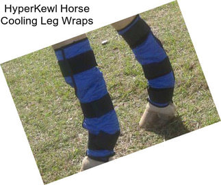 HyperKewl Horse Cooling Leg Wraps
