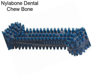 Nylabone Dental Chew Bone