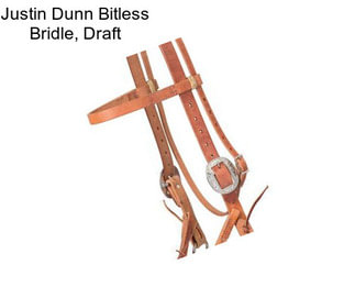 Justin Dunn Bitless Bridle, Draft