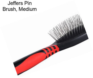 Jeffers Pin Brush, Medium
