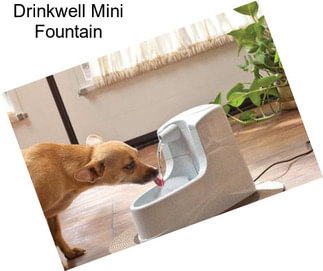 Drinkwell Mini Fountain