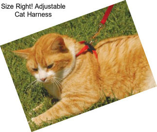 Size Right! Adjustable Cat Harness