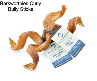 Barkworthies Curly Bully Sticks