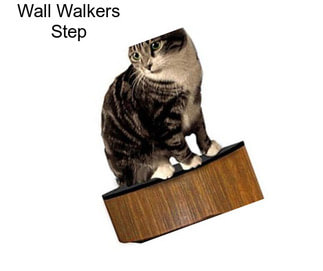 Wall Walkers Step