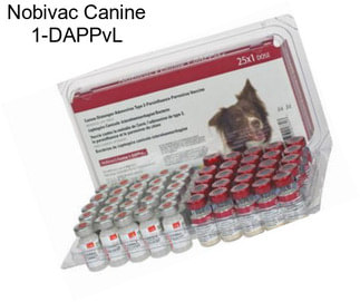 Nobivac Canine 1-DAPPvL