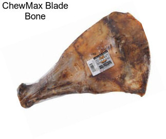 ChewMax Blade Bone