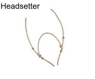 Headsetter