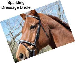 Sparkling Dressage Bridle