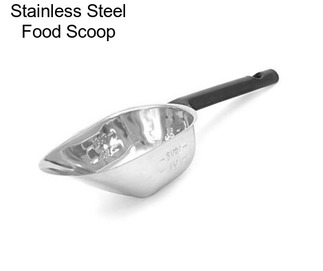 Stainless Steel Food Scoop