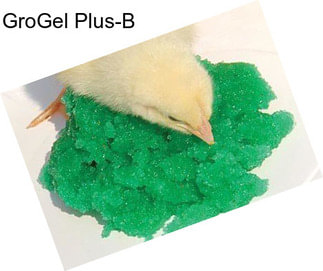 GroGel Plus-B