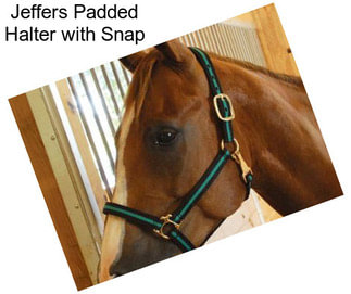 Jeffers Padded Halter with Snap