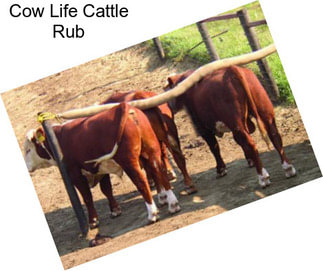 Cow Life Cattle Rub