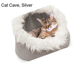 Cat Cave, Silver