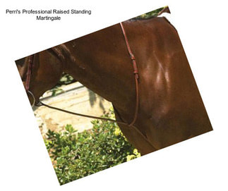 Perri\'s Professional Raised Standing Martingale