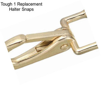 Tough 1 Replacement Halter Snaps