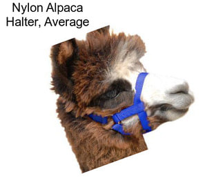 Nylon Alpaca Halter, Average