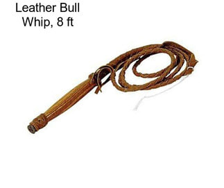 Leather Bull Whip, 8 ft