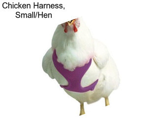 Chicken Harness, Small/Hen
