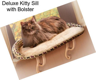 Deluxe Kitty Sill with Bolster