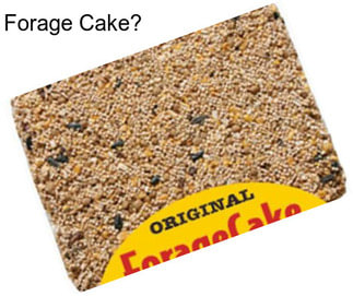 Forage Cake