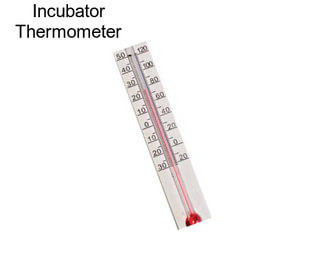 Incubator Thermometer