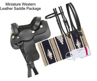 Miniature Western Leather Saddle Package