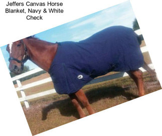 Jeffers Canvas Horse Blanket, Navy & White Check