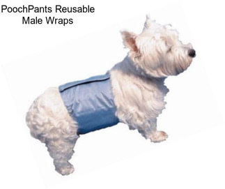 PoochPants Reusable Male Wraps