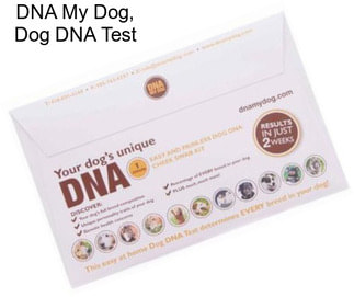 DNA My Dog, Dog DNA Test